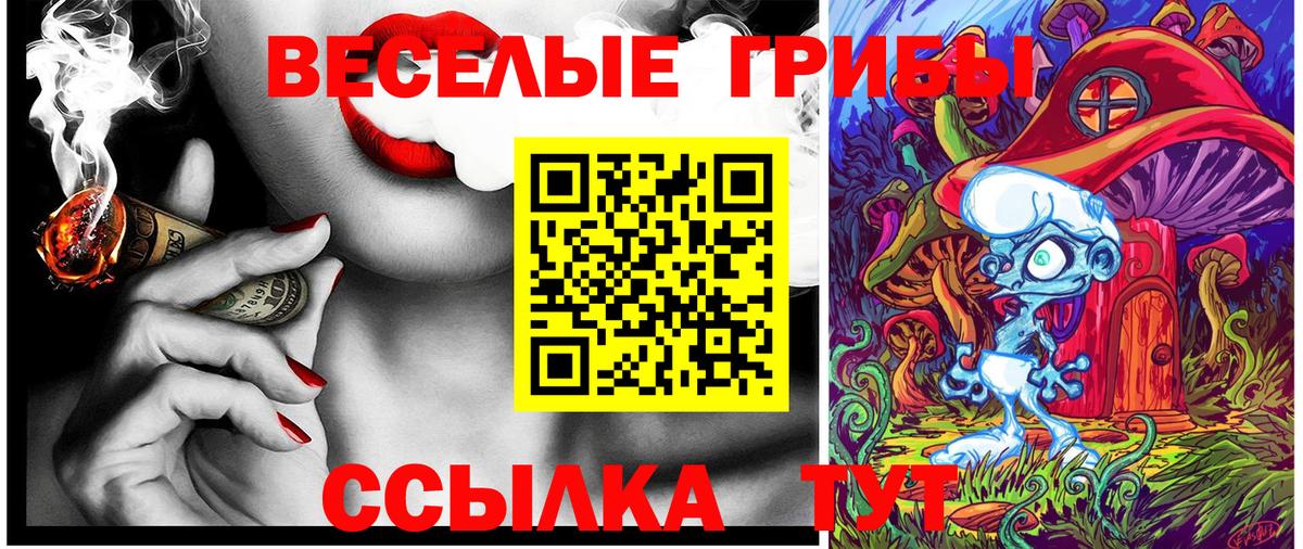 наркотики  Вход с VPN  Киржач  Галлюциногенные грибы прущие грибы 